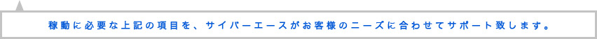 稼働に必要な上記の項目をサイバーエースがお客様のニーズに合わせてサポートします。